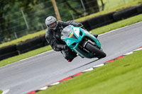 Lower Group Blue Bikes